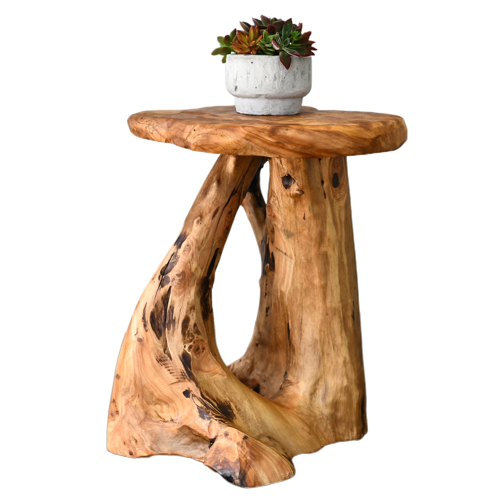 WELLAND Tree Stump Nightstand Side Table, Live Edge Stool, Natural Edge Wood End Table, Accent Table, 19