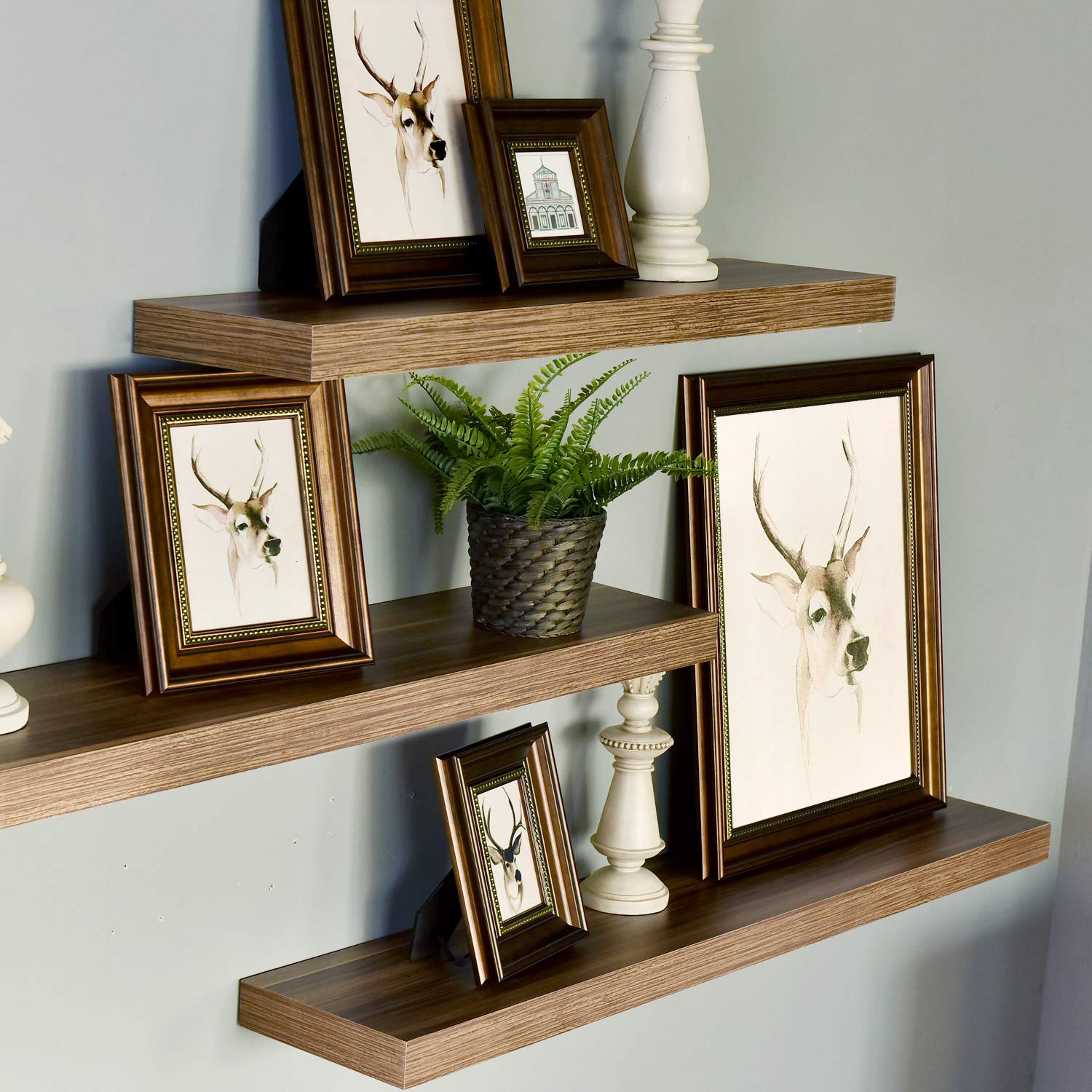 WELLAND  Floating Shelves Wood Modern Display Shelves Wall Mounted Shelves, 48