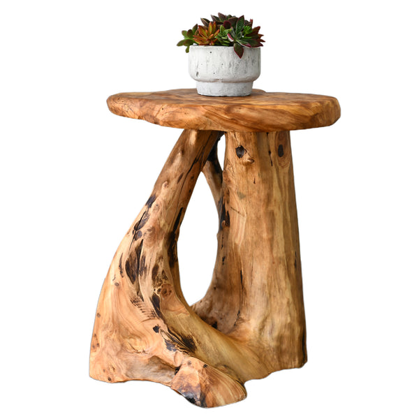 Side Table Full Tree Tree Stump Side Table | Night Stand | Plant Stand | Cedar End table ...