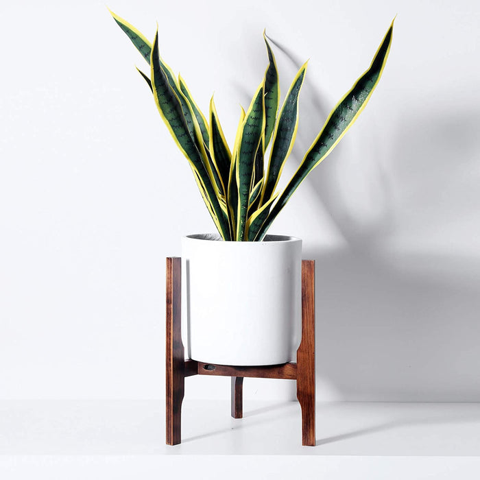 mid century plant pot stand 61WAqf3XULL._AC_SL1500_700x_crop_center.jpg?v=1602721270