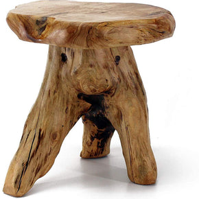 WELLAND Tree Stump Stool Live Edge, Natural Edge Side Table, Plant Stand, Nightstand, Mushroom Stool, 14"Tall